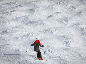 A skier enjoys the beautiful moguls on a the Lone Pine run at 
Mount Norquay west of Calgary above the town of Banff.
Mt. Norquay west of Calgary above the town of Banff . Al Charest / Postmedia