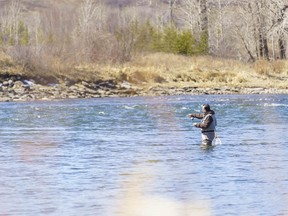 A man fishes in the Bow River in Calgary on Monday, April 5, 2021.
