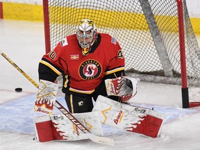Goaltender Garret Sparks, with 38 games of NHL experience, was steady for the Stockton Heat in 2021. (Candice Ward photo, courtesy Stockton Heat)