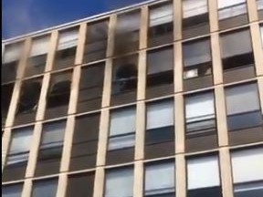 A cat who jumped from a fifth-floor window during an apartment fire is somehow 'feline' fine.