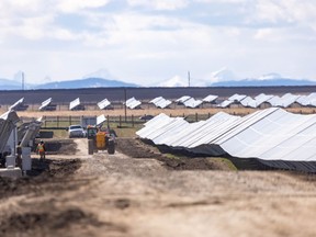 Big solar panel installation east of Stavely, Ab., on Monday, April 26, 2021.