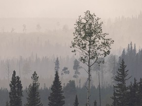 Smoke fills the Fallen Timber Creek valley west of Cremona, Ab., on Monday, July 19, 2021.