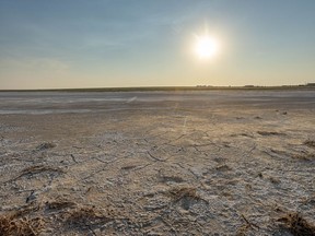 Cracks in a dry slough bottom near Nobleford, Ab., on Monday, July 26, 2021. Mike Drew/Postmedia