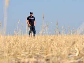 Jason Schneider, Vulcan County councillor, reeve and farmer stands in his neighbour’s wheat field devastated by drought conditions on Thursday, July 29, 2021. This time last year the same field was waist high with a bumper crop. Vulcan County issued a declaration of municipal agricultural disaster last week.