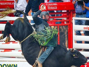 2021 Calgary Stampede bull riding champion Jordan Hansen of Okotoks AB ,hangs on tight for an 87.5 on a bull named Diamond Back at the Calgary Stampede rodeo on Sunday, July 18, 2021. Al Charest / Postmedia