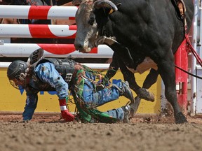 Bull-rider Josh Frost had a rough dismount after his eight-second twirl aboard Billy Big Rigger in the bull riding event at the Calgary Stampede rodeo on  Tuesday.