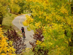 A cyclist spends the afternoon on the pathway along the Bow River as fall colours take over in Calgary on Wednesday, September 22, 2021.