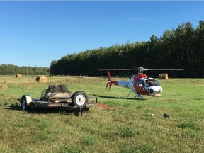 A large rock containing the fossilized skull of a dinosaur was airlifted via helicopter out of the Red Willow River valley.