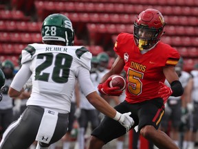 The University of Calgary Dinos made a big return to the field on Saturday, September 25, 2021 in dispatching the University of Saskatchewan Huskies by a score of 34-20. Photos courtesy of David Moll/Dinos Athletics
