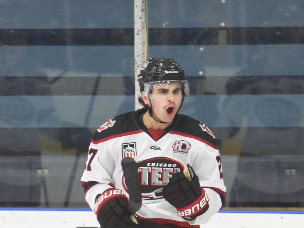 Flames First-round Pick Matthew Coronato Settling In At Harvard ...