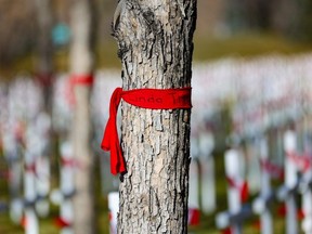 Red cloth ribbons in memory of missing and murdered Indigenous women are tied to trees at the Field of Crosses in Calgary on Wednesday, October 27, 2021. Some of the ribbons placed in May were inadvertently removed during the installation of the crosses but were replaced a day later.