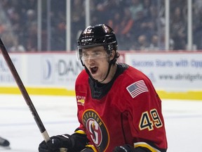 Calgary Flames prospect Jakob Pelletier celebrates a goal during a recent outing with the AHL Stockton Heat.