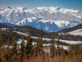 The face of Yamnuska rises above the Bow River valley seen from the high country above Jumpingpound Creek west of Calgary, Ab., on Wednesday, November 17, 2021.