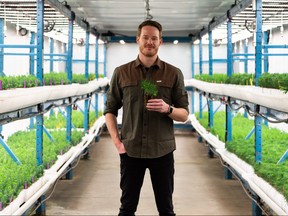 Chris Kallal, president and CEO of Wild + Pine, holds jack pine with a blueberry hitchhiker plant at the company’s facility at the Edmonton International Airport in Nisku, on Sunday, Nov. 21, 2021.