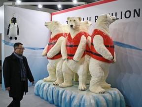 A delegate passes a display of polar bears wearing life jackets, displayed on the Tuvalu trade stand on the sidelines of the COP26 UN Climate Change Conference in Glasgow, Scotland on November 1, 2021. COP26, running from October 31 to November 12 in Glasgow, will be the biggest climate conference since the 2015 Paris summit and is seen as crucial in setting worldwide emission targets to slow global warming, as well as firming up other key commitments.