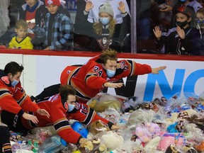 Calgary Hitmen from left, Riley Fiddler-Schultz, Sean Tschigerl and Zac Funk dive into teddy bears after Cael Zimmerman scored the first goal against the Lethbridge Hurricanes in the teamÕs annual Teddy Bear Toss game in Calgary on Saturday, December 4, 2021. 

Gavin Young/Postmedia