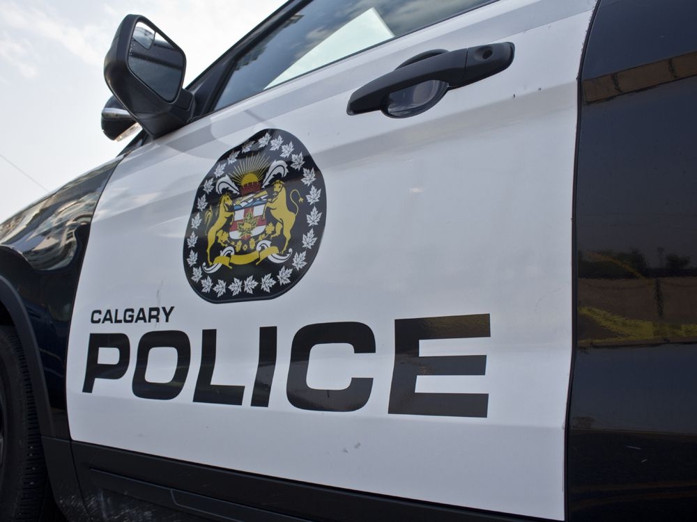 One arrested after early-morning stabbing at Calgary LRT station