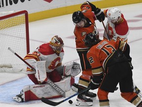 Dec 3, 2021; Anaheim, California, USA; Anaheim Ducks forward Sonny Milano (12) picks up a loose puck in front of Calgary Flames goaltender Dan Vladar (80) before scoring the first goal of the game during the second period at Honda Center.