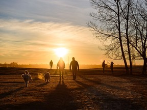 People and their dogs go for an early morning walk at Tom Campbell's park as the sun rises in the background on Thursday, January 27, 2022.