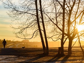 People and their dogs go for an early morning walk at Tom Campbell’s park as the sun rises in the background on Thursday, January 27, 2022.
