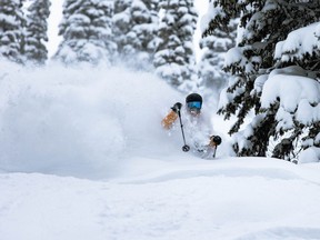 Fernie Alpine Resort, in southeastern B.C., is known for its copious amounts of snow over 2,500 acres of skiable terrain with 142 named runs.