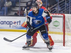 Calgary Flames forward prospect Ryan Francis has already piled up more than 200 career points in the QMJHL. The 20-year-old centre is now in his overage campaign with the Saint John Sea Dogs.
