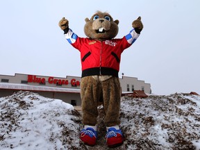 Balzac Billy, shown here in a 2015 file photo, has predicted six more week of winter in 2022.
