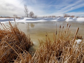 Still looks wintery despite the warm day on a slough north of Nobleford, Ab., on Tuesday, March 15, 2022.