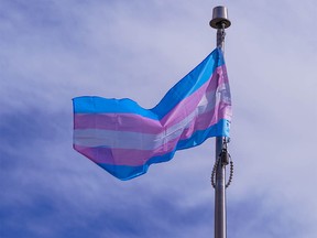 The transgender flag flies above city hall in Calgary on Thursday, March 31, 2022.