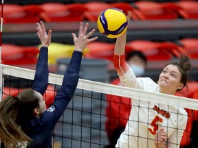First-year middle Sheridan Coninx and the Calgary Dinos are battling for a national championship beginning Friday.