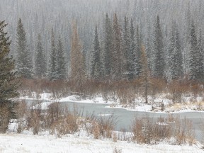 Beaver ponds and fresh snow along Sibbald Creek west of Calgary, Ab. on Tuesday, April 12, 2022.