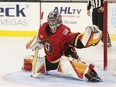 Stockton Heat goaltender Dustin Wolf leads the AHL with 32 wins this season while sporting a a 2.36 goals-against average and .923 save percentage.
