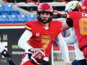 The Calgary Dinos’ Matteo Spoletini will attend sessions at the Calgary Stampeders’ rookie camp as part of the CFL’s Canadian quarterback internship program.