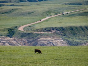 The green plains along the Red Deer River valley near Dorothy, Ab., on Monday, June 27, 2022.