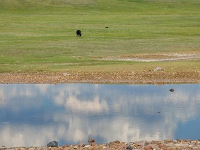 The sky reflects in the newly replenished waters of a shallow slough the Red Deer River valley near Dorothy, Ab., on Monday, June 27, 2022.