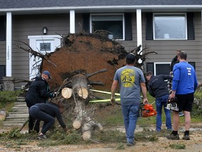 Residents work to clear a fallen tree in front of a home on Lake Sylvan Drive S.E. on Tuesday.