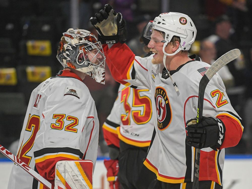 Flames Goaltending Prospect Wolf Saved Shutouts For Calder Cup Push ...