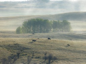 Morning mist in the foothills west of Cochrane on Tuesday, June 7, 2022.