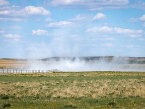 Alkali swings in the wind on the drying edge of Dead Horse Lake near Hussar, Alta., on Tuesday, May 31, 2022.