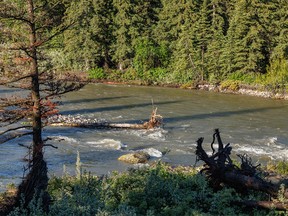 High water on the Highwood River west of Longview, Ab., on Tuesday, July 5, 2022.