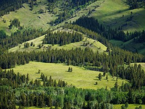 Morning sun on the grassy slopes along the Highwood River west of Longview, Ab., on Tuesday, July 5, 2022.
