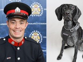Metro Vancouver Transit Police have named one of two explosive detection police dog graduates after fallen CPS officer Sgt. Andrew Harnett.