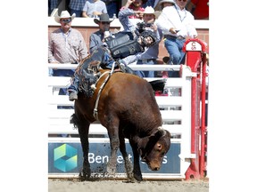 Cody Coverchuk from Meadow Lake,SK, rides Jump Star during the Stampede Bull Riding Championship at Day one of the Calgary Stampede Rodeo in Calgary kicked off on Friday, July 8, 2022. Darren Makowichuk/Postmedia