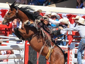 Lefty Holman, from Visalia, Calif., rides Rubels to top spot in Wildcard Saturday saddle-bronc competition at the Calgary Stampede rodeo.