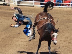 Orin Larsen, from Inglis Man., jumps off Disco Party after riding to a top score of 87 in Wildcard Saturday bareback riding competition at the Calgary Stampede rodeo.