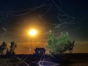 Flying insects leave trails in the air over a camp light at McGregor Lake by Milo, Ab., on Monday, August 8, 2022.