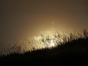 Bugs leave traces on the moonlit water at McGregor Lake by Milo, Ab., on Monday, August 8, 2022.