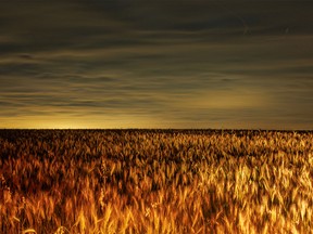 Clouds obscure the sky over a field south of Arrowwood, Ab., on Monday, August 8, 2022.