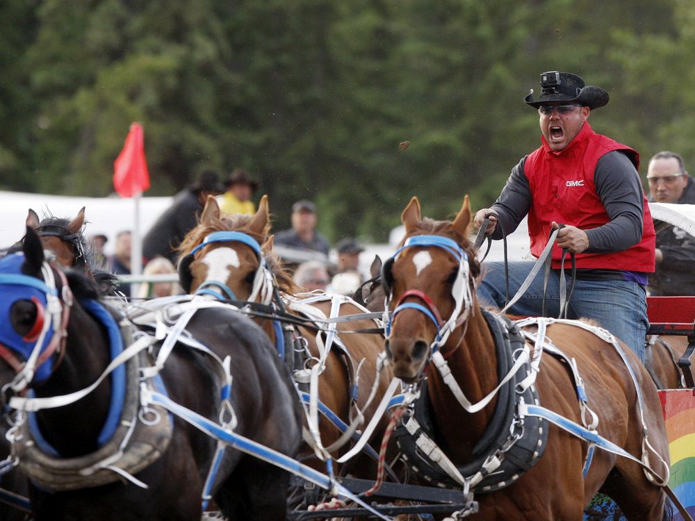 Rae Croteau Jr. rises up the ranks after return to chuckwagon racing