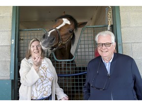 Toronto On.August 19, 2022.Woodbine Racetrack.Queen's Plate contender Rondure gets some mints from Borders Racing Stable Ltd owners (L) Hazel Bennett of Calgary Ab, and Harry Dobson of Monaco.Rondure will attempt to capture the $1,000,000 dollar race at Woodbine on Sunday August 21, 2022.Woodbine/ Michael Burns Photo